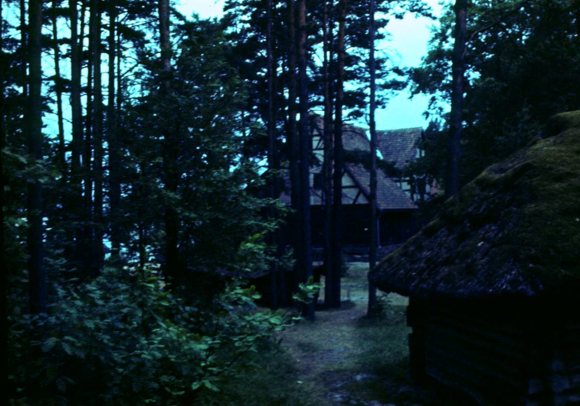 041.JPG