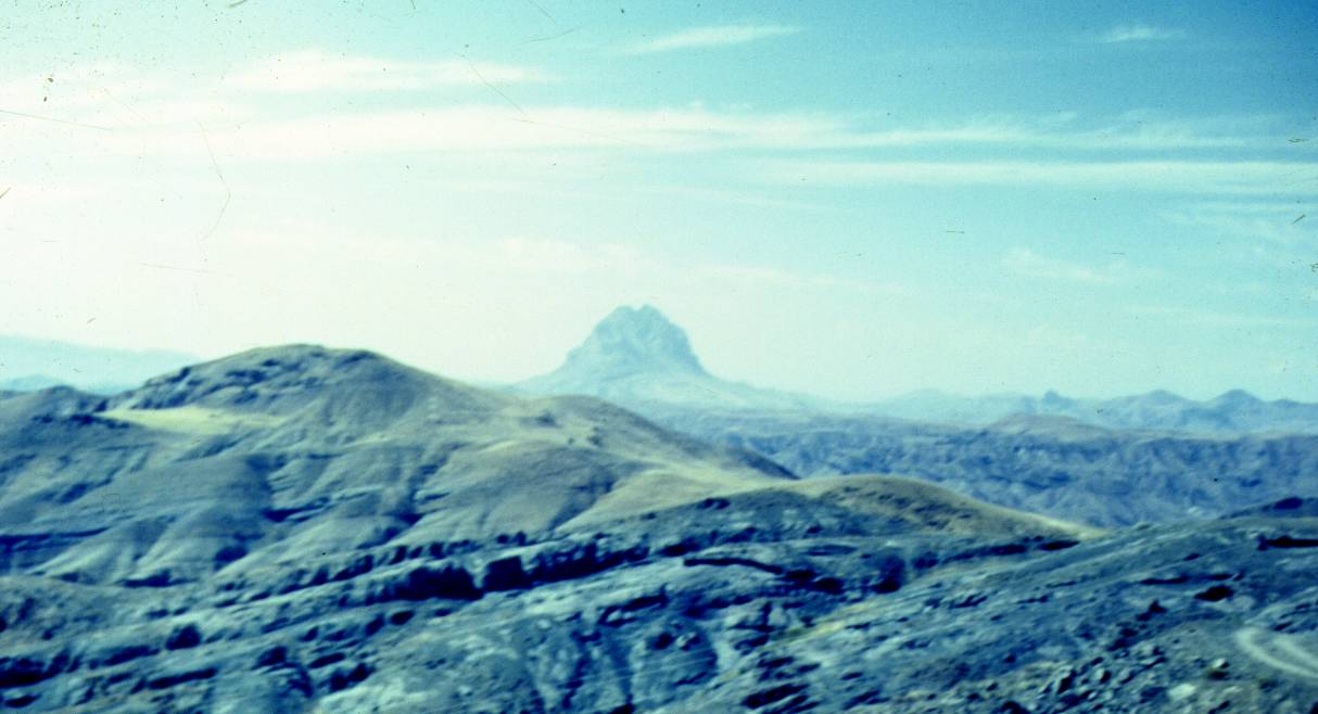 009.JPG