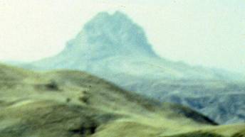 009a.JPG