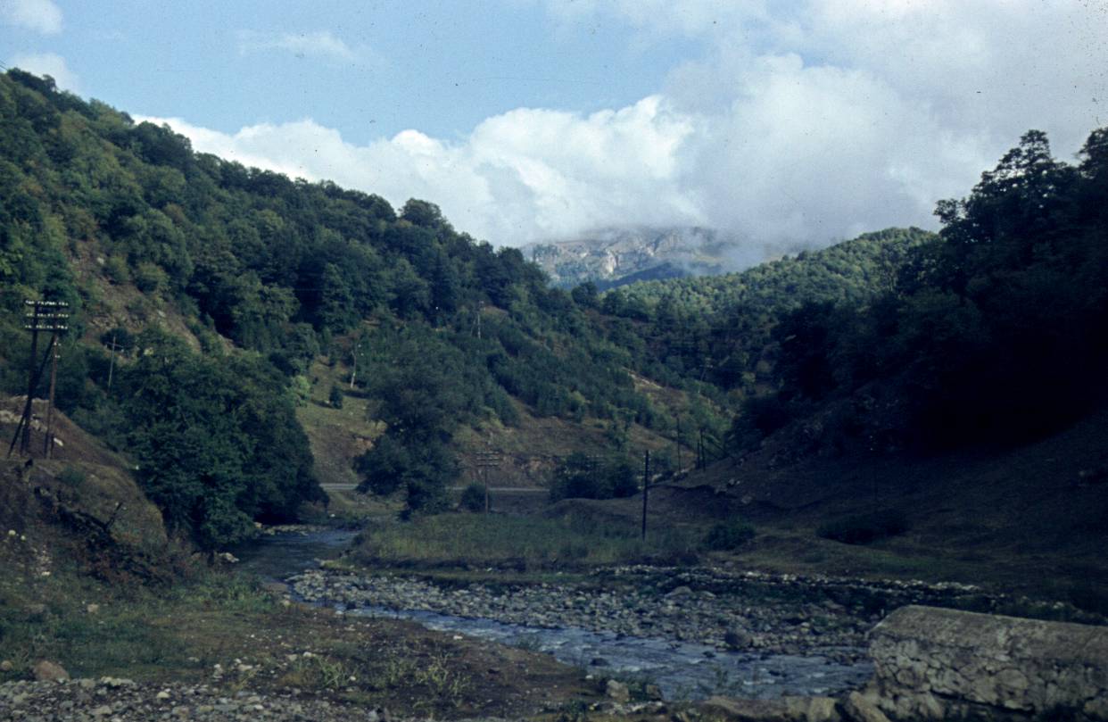 070.JPG