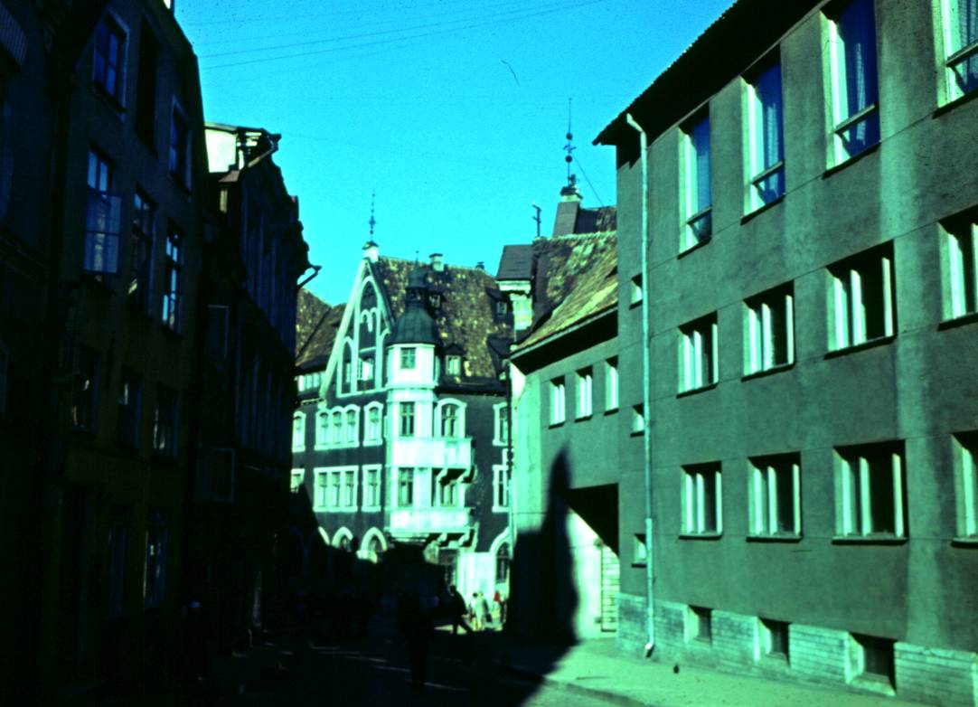 011.JPG
