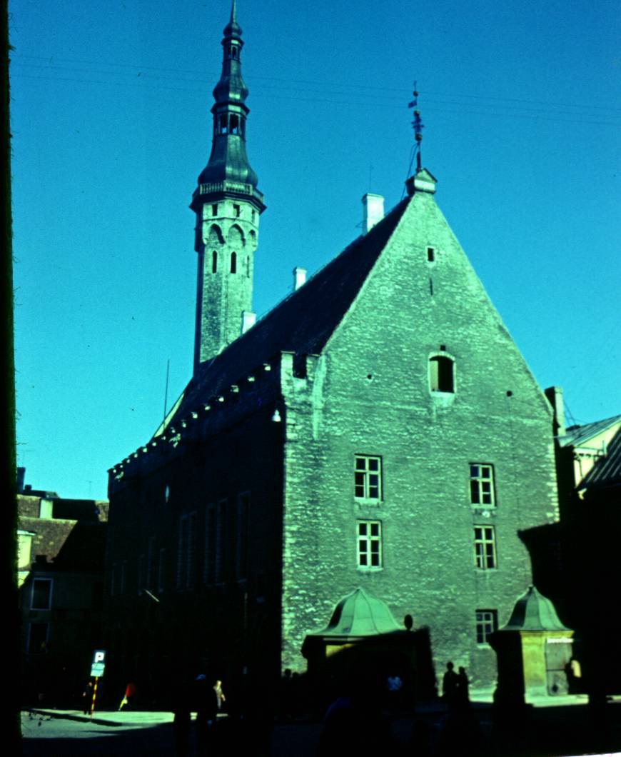 030.JPG