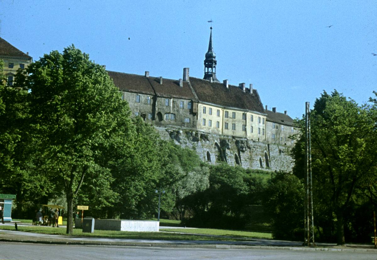 040.JPG