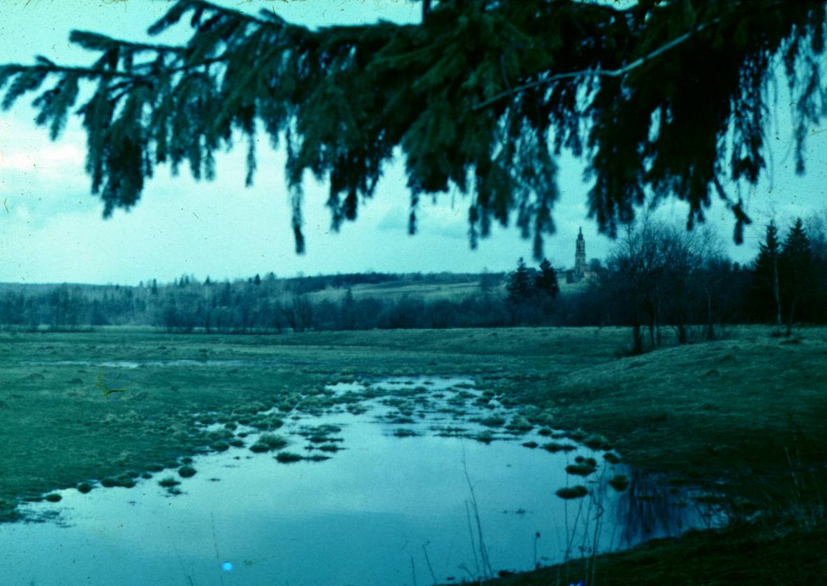 064.JPG