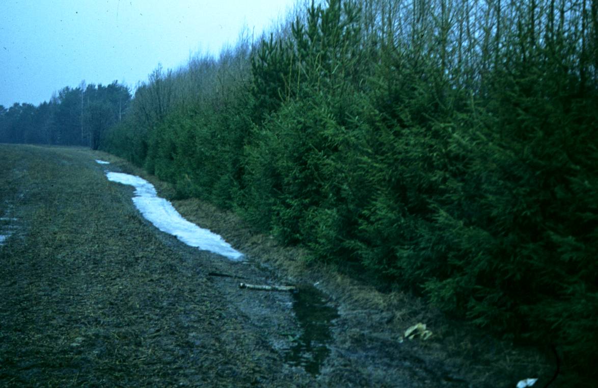 069.JPG