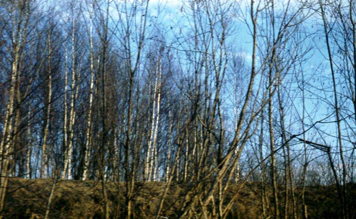 071.JPG