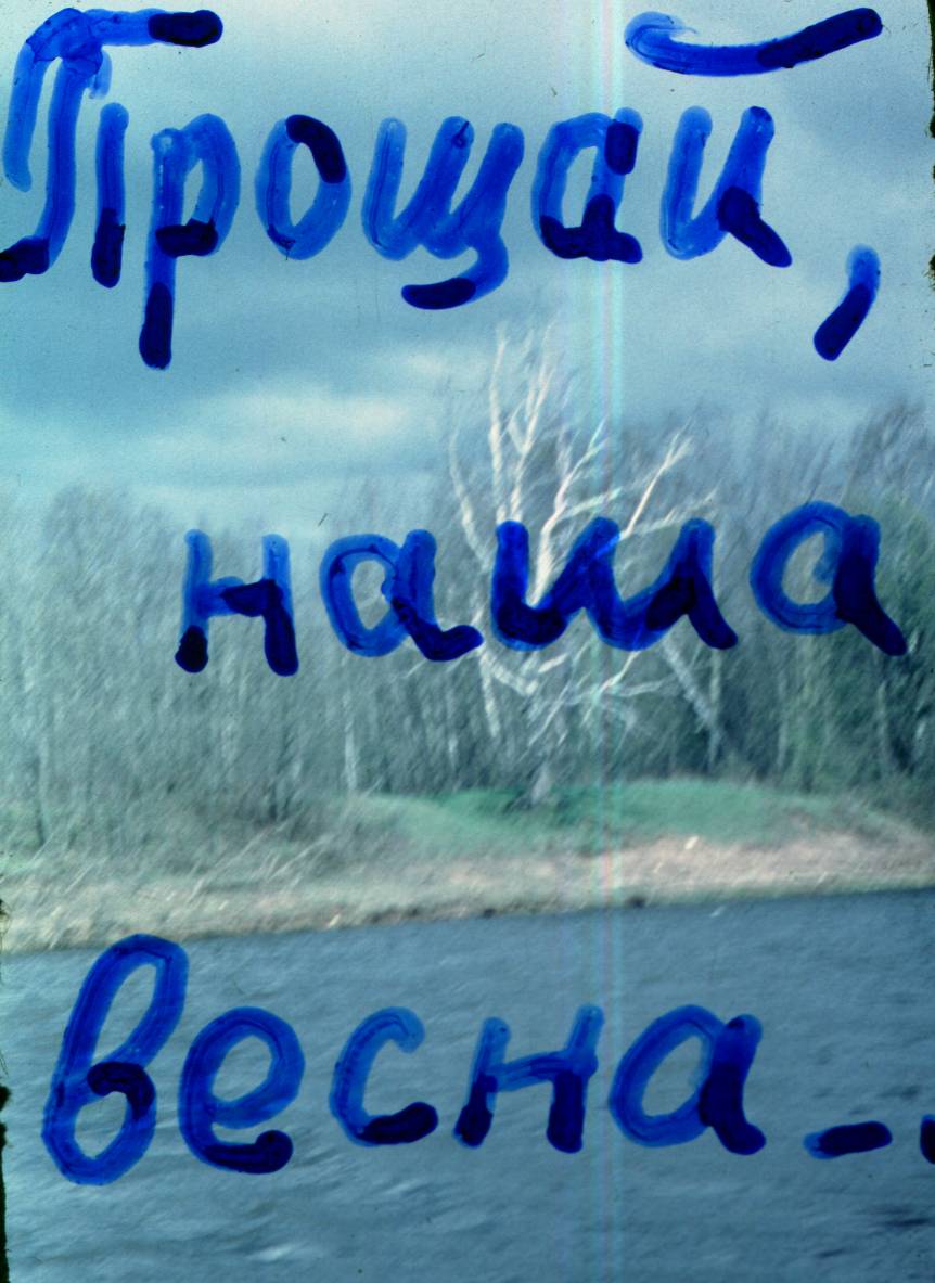 169.JPG