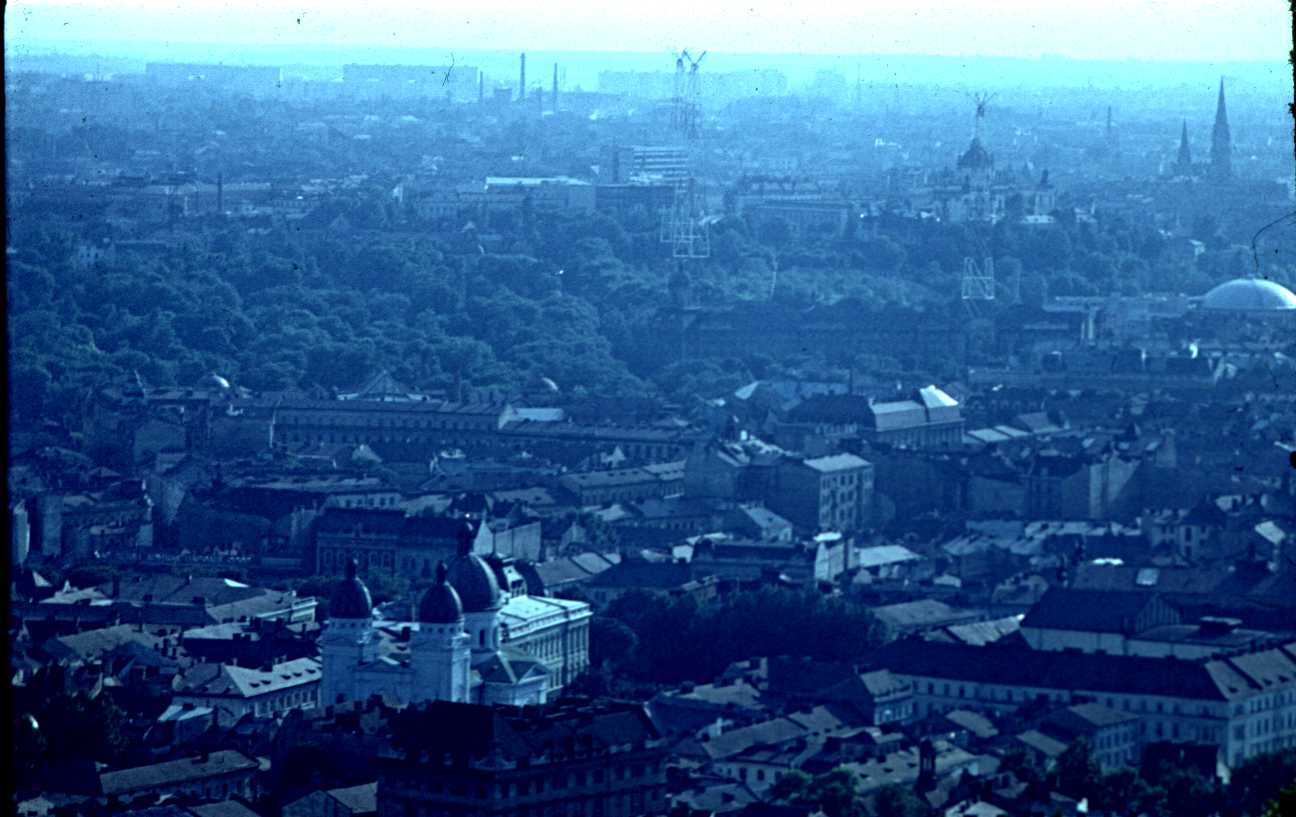 010.JPG