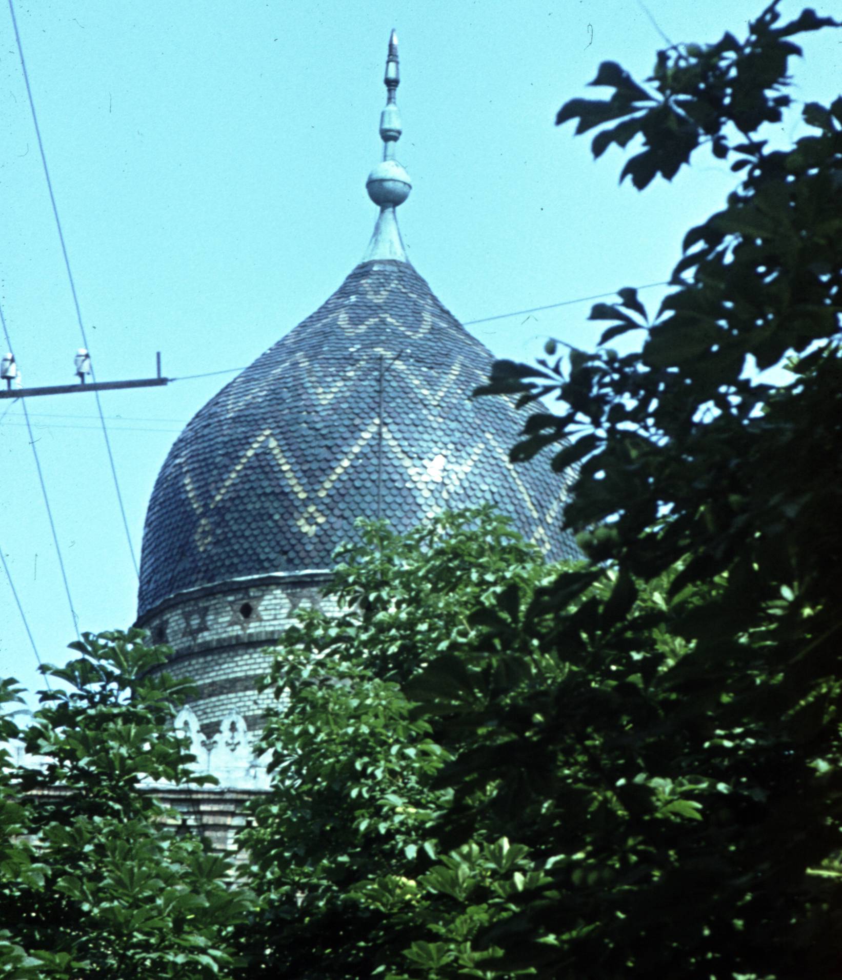 020.JPG