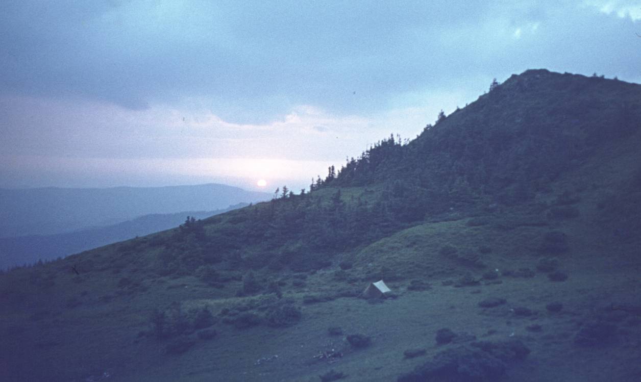 113.jpg