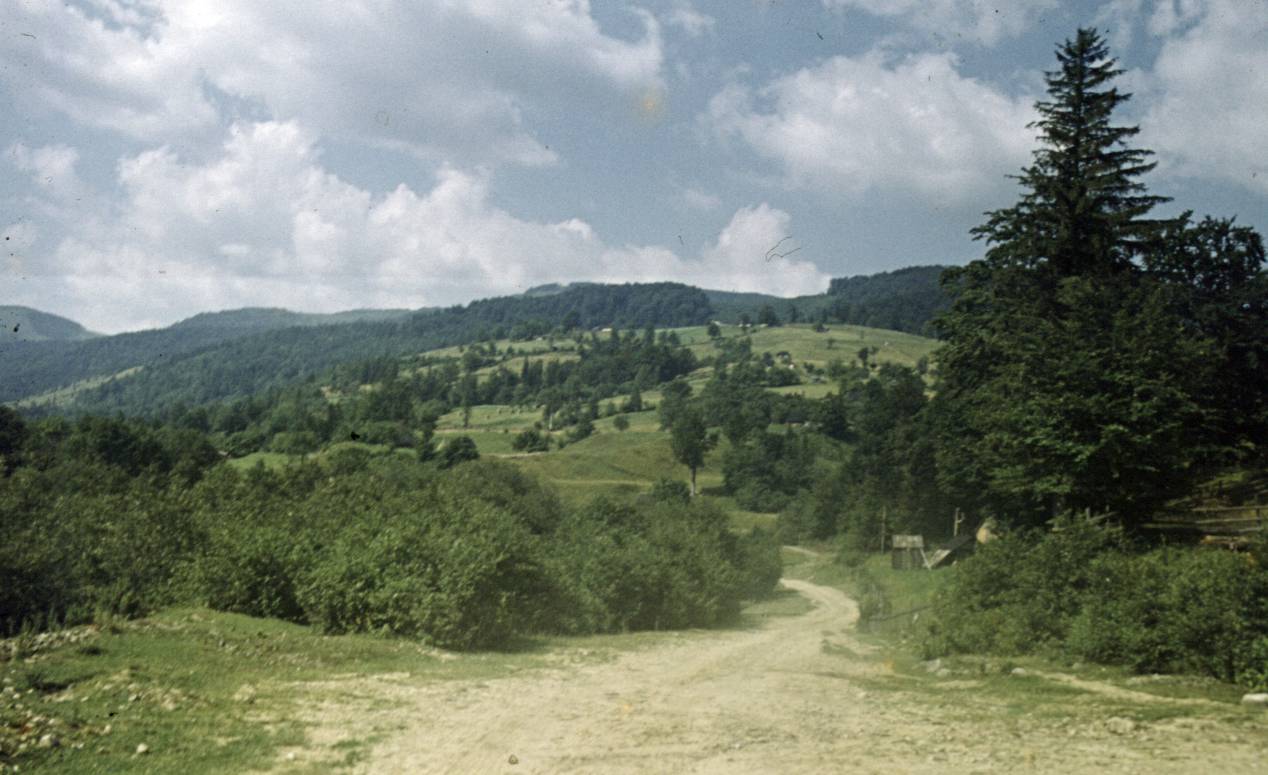 135.jpg