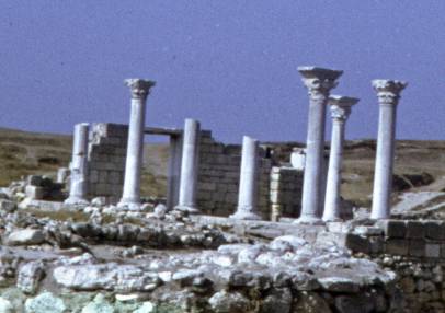 010.jpg