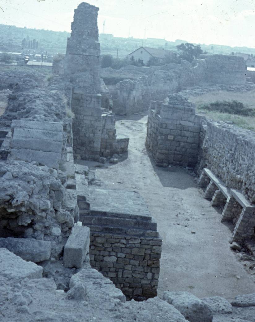 107.jpg