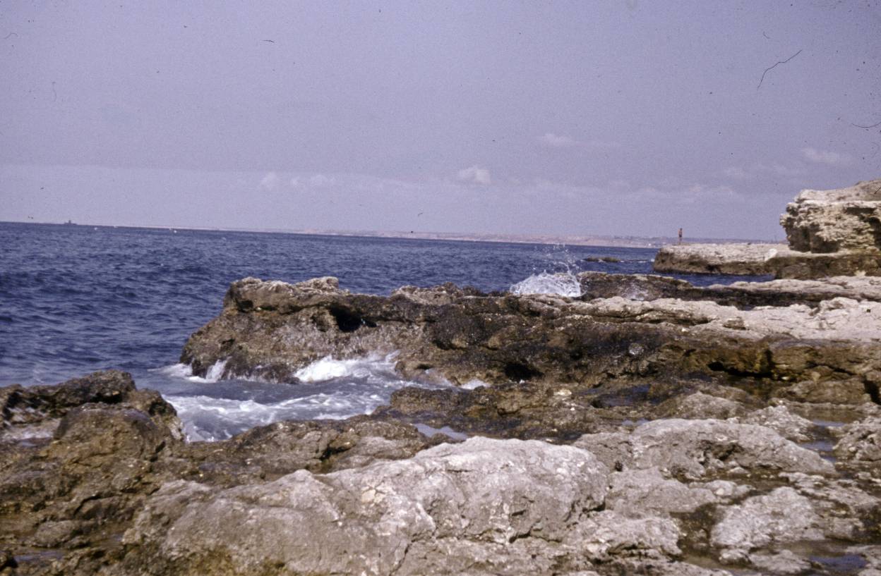 118b.jpg