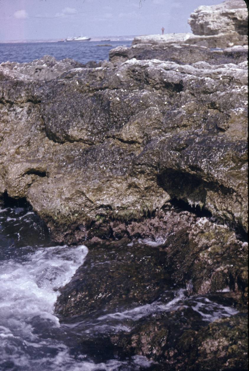 121.jpg