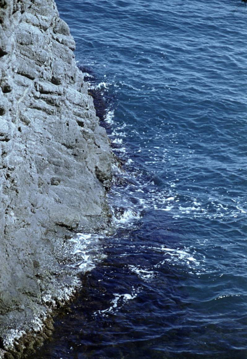 149.jpg