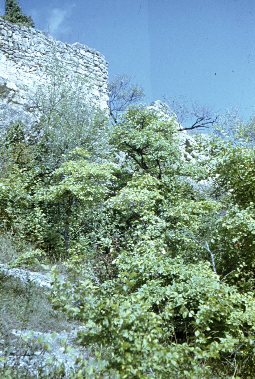 034.jpg