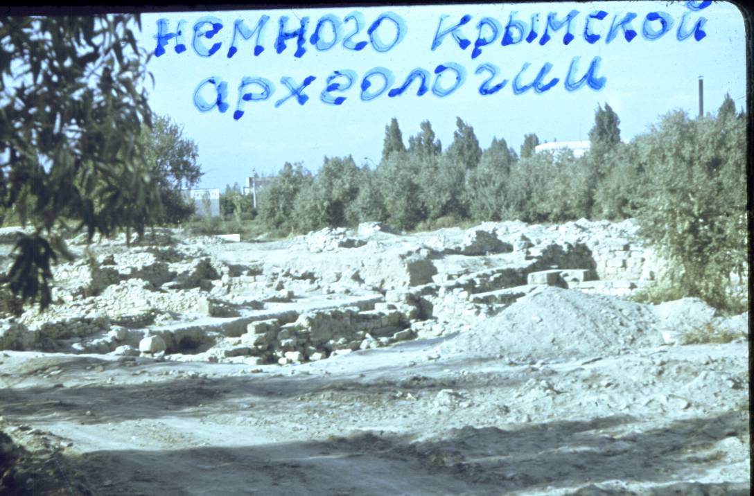 035.jpg