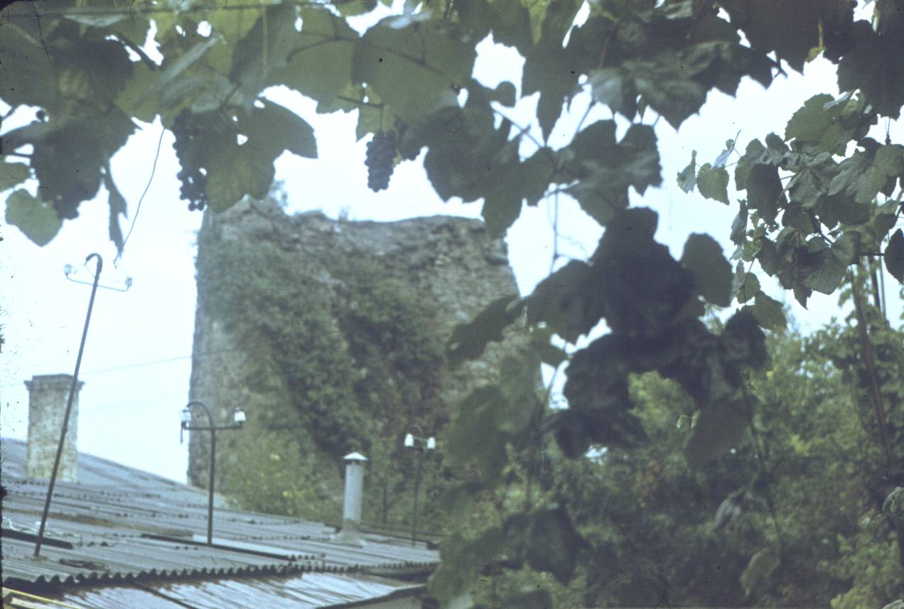 130.jpg