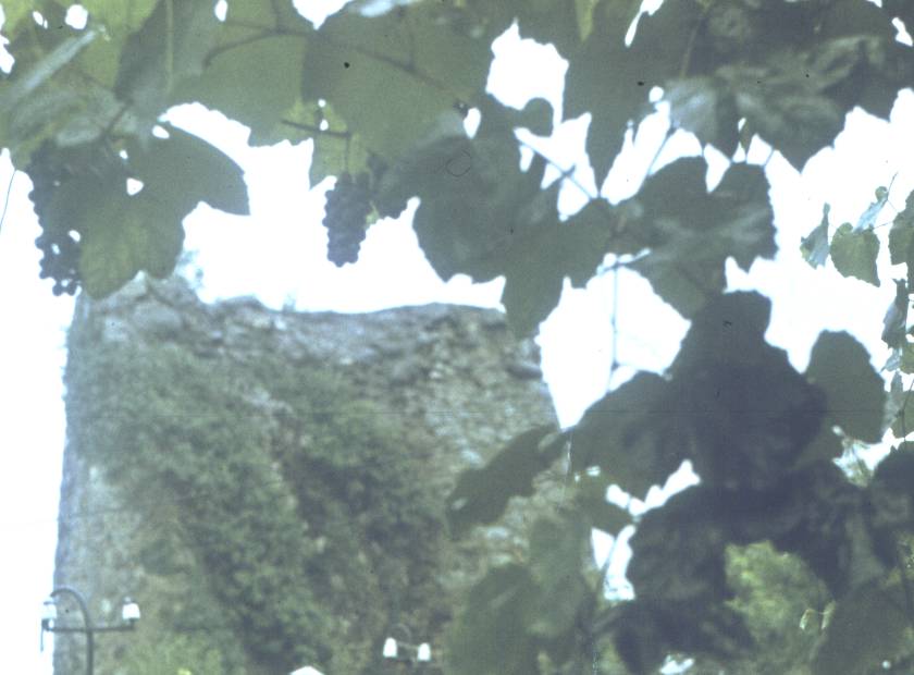 130a.jpg