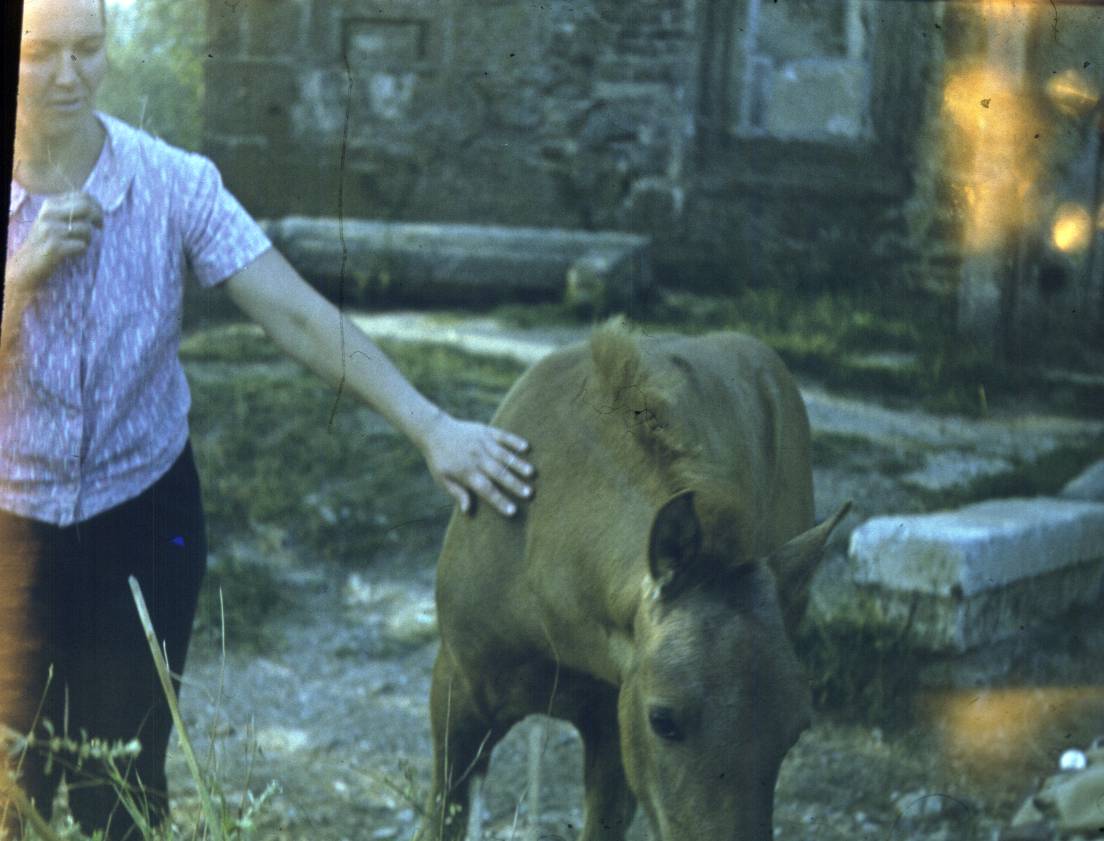 052a.jpg
