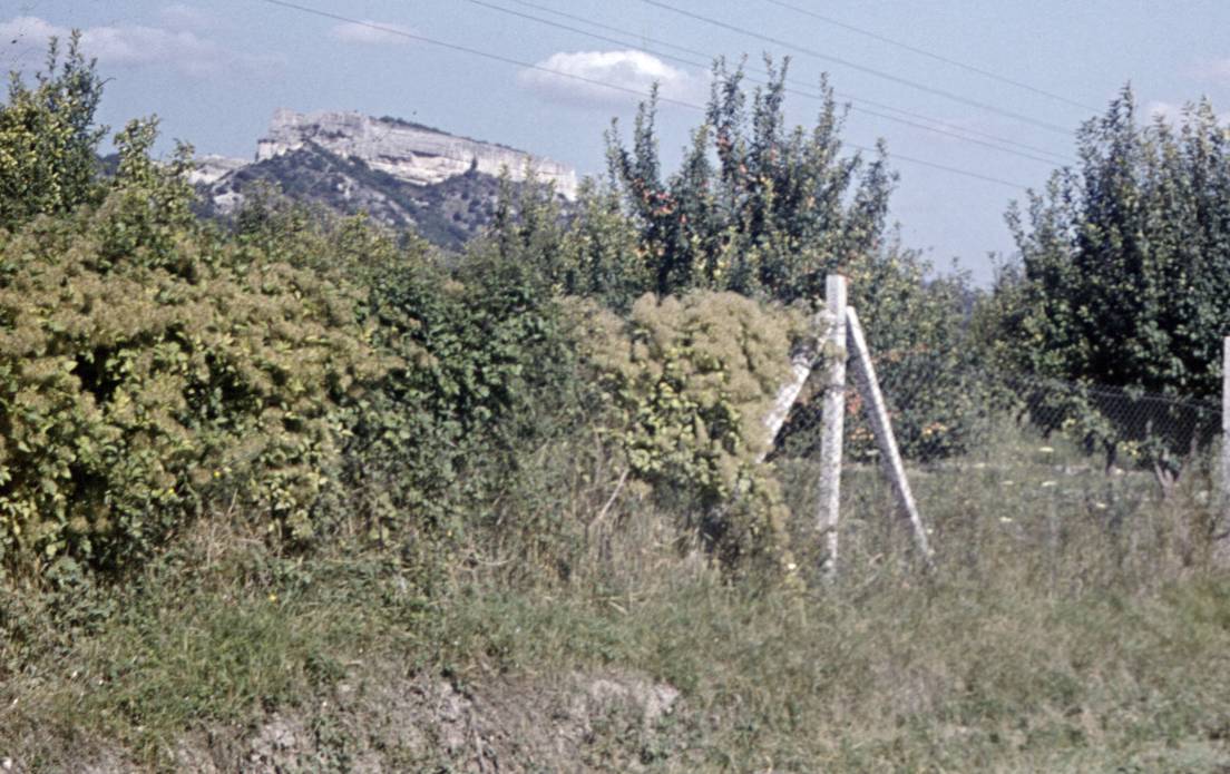 140.JPG