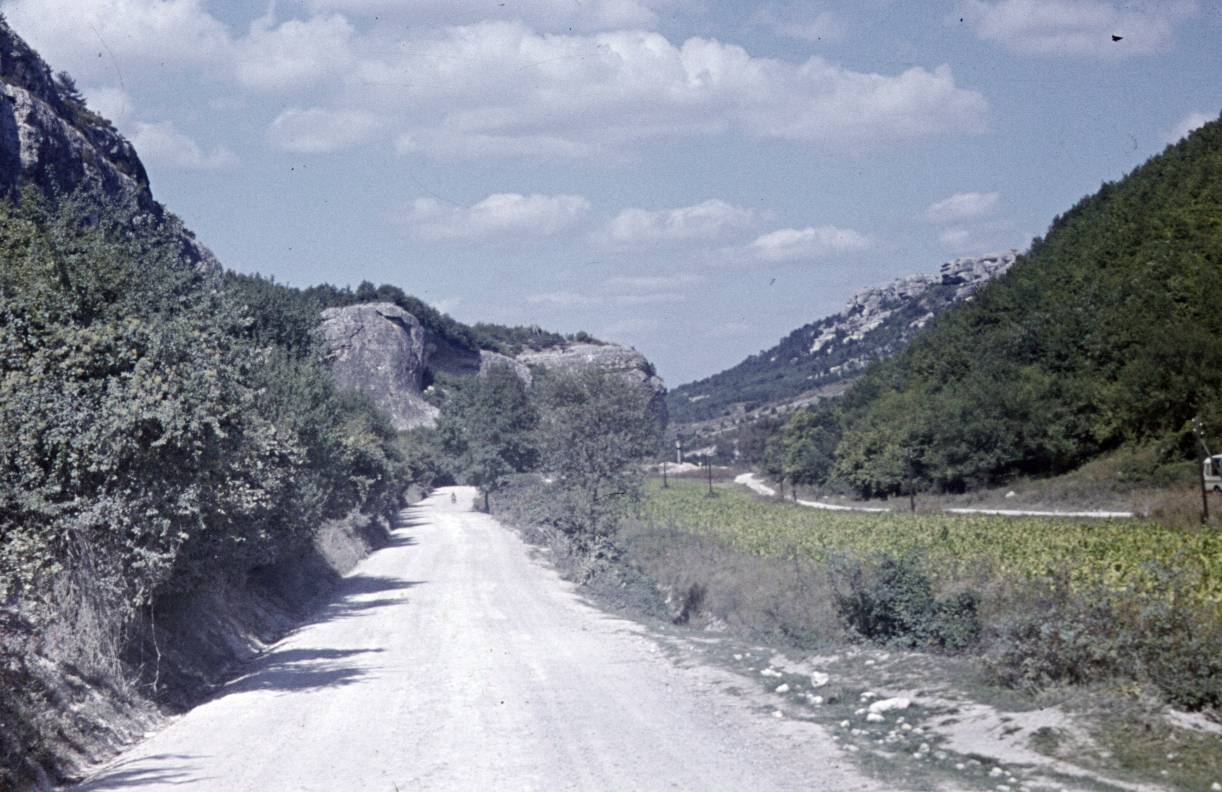 141.JPG