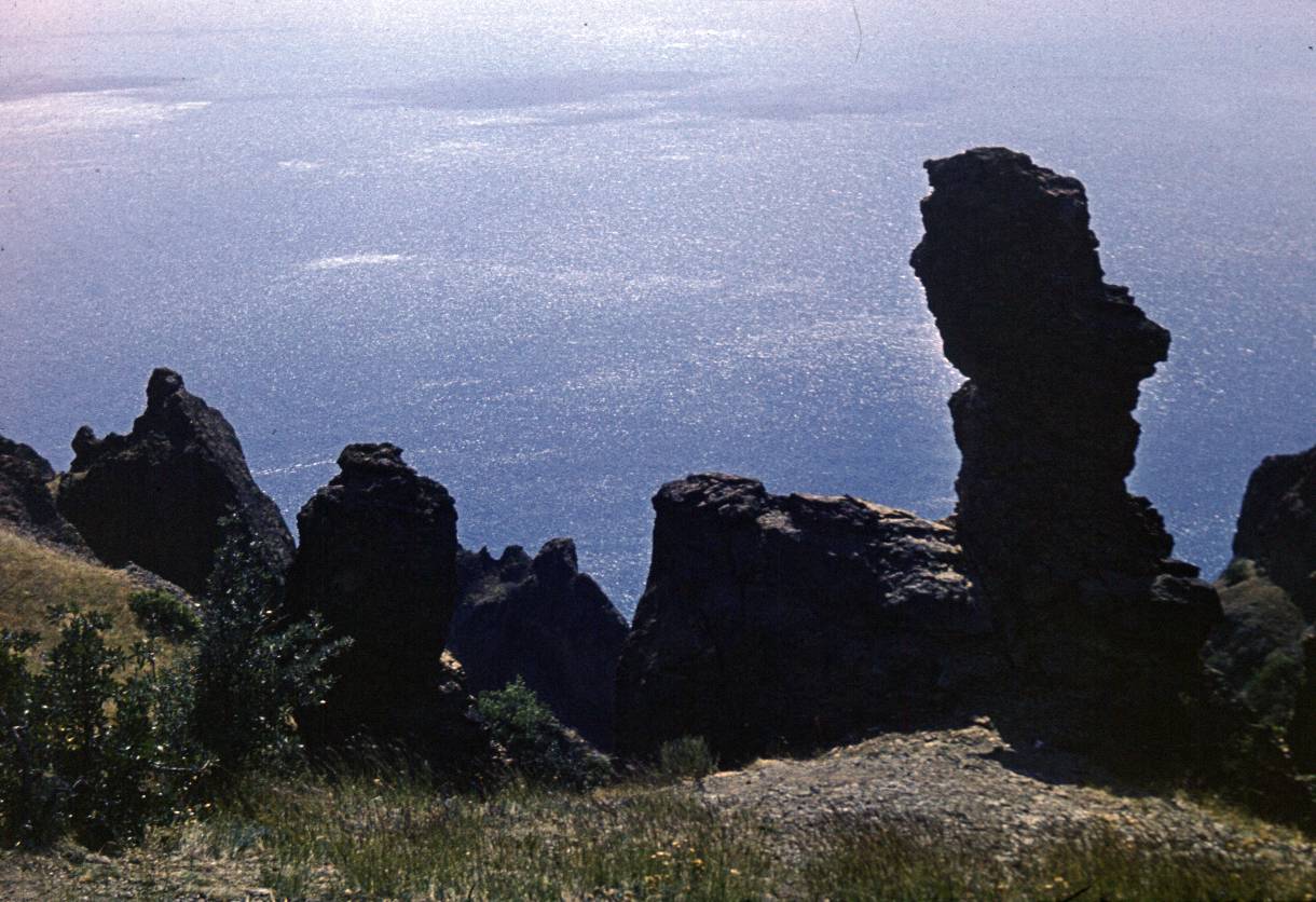 145.JPG