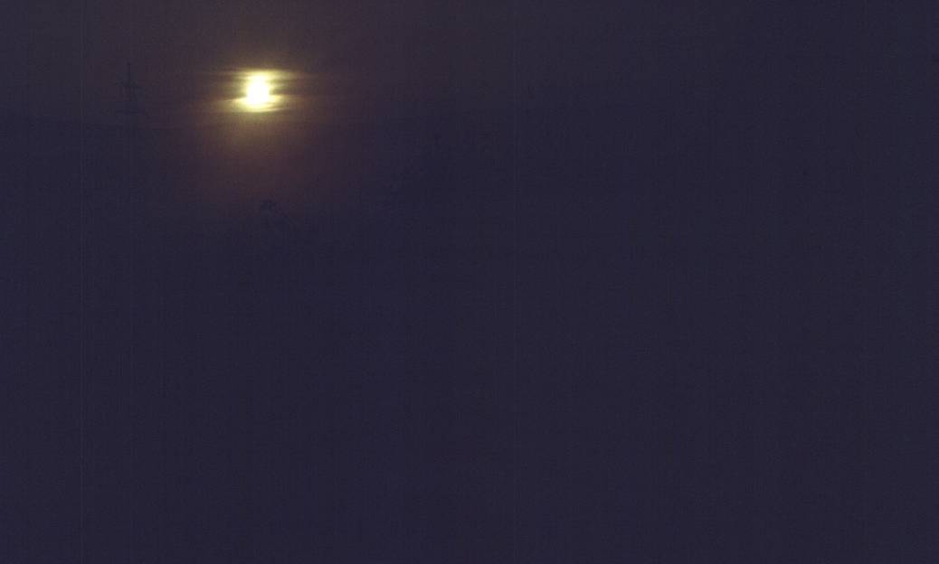 008.jpg