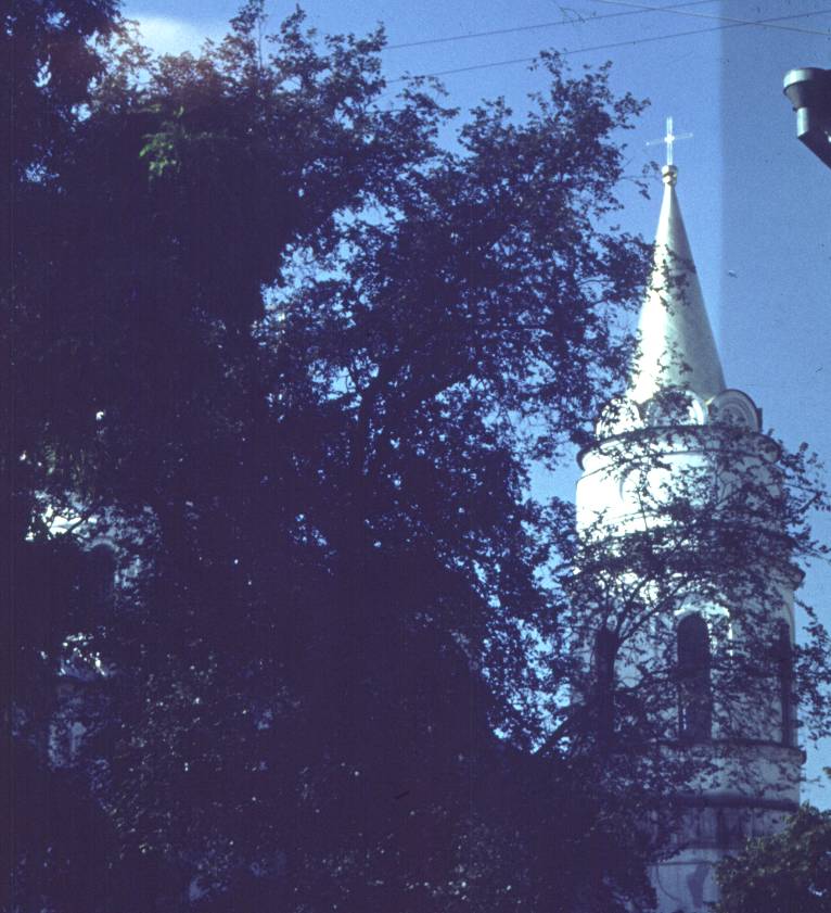052.jpg