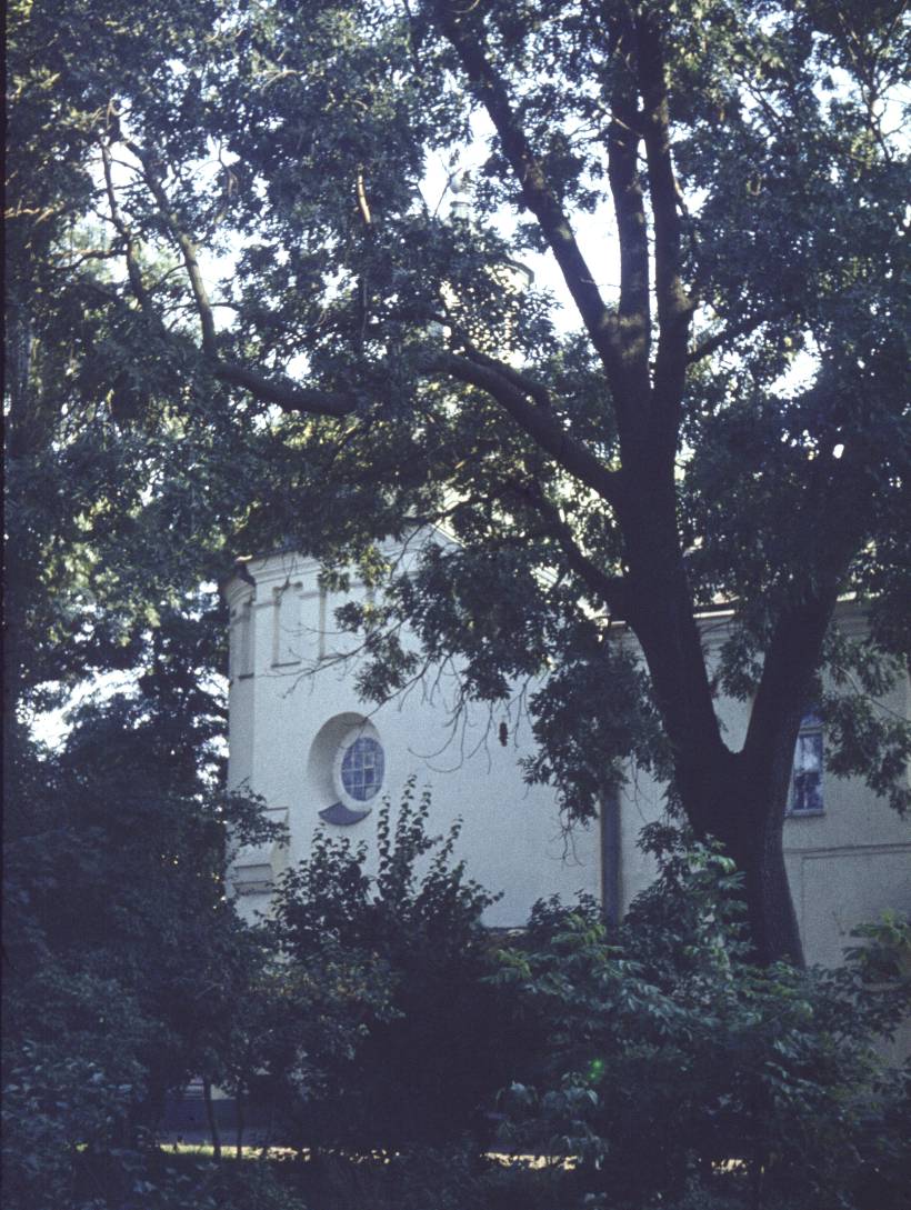 115.jpg