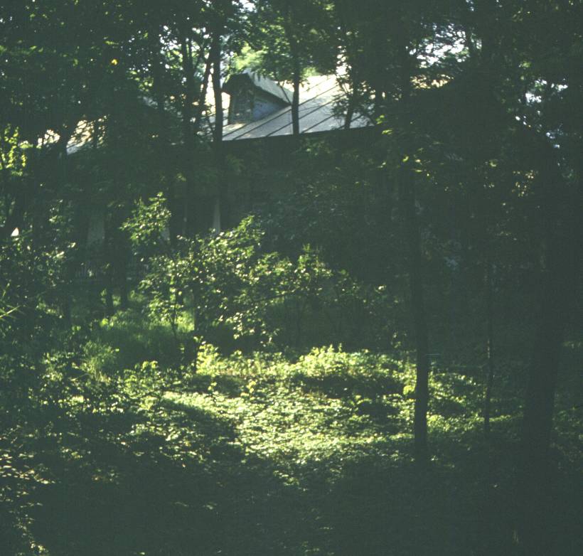 174.jpg