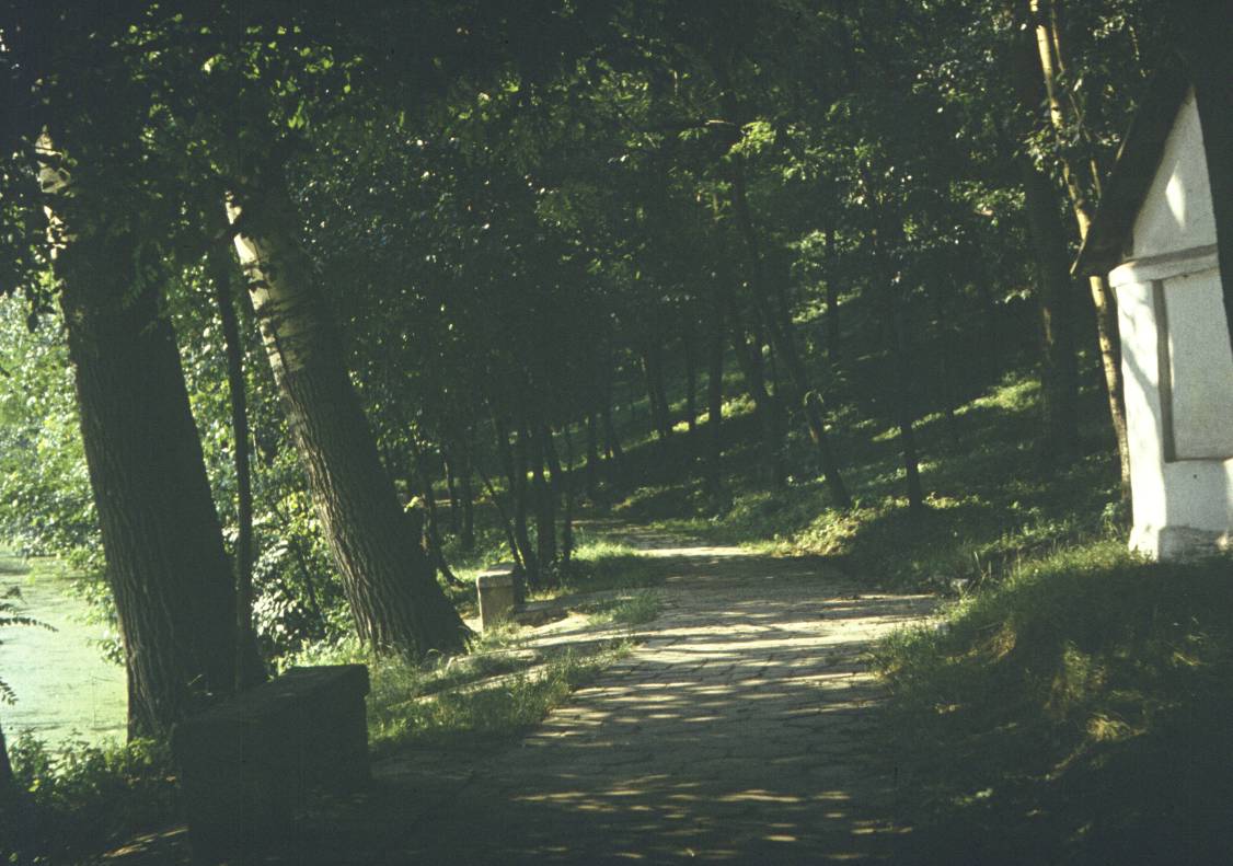 176.jpg