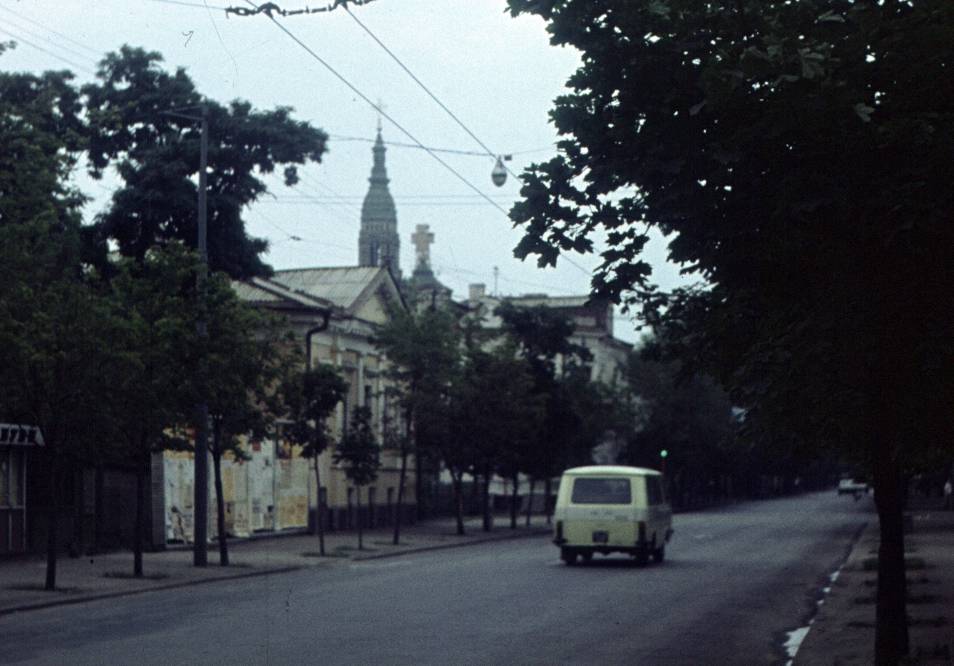 197.jpg