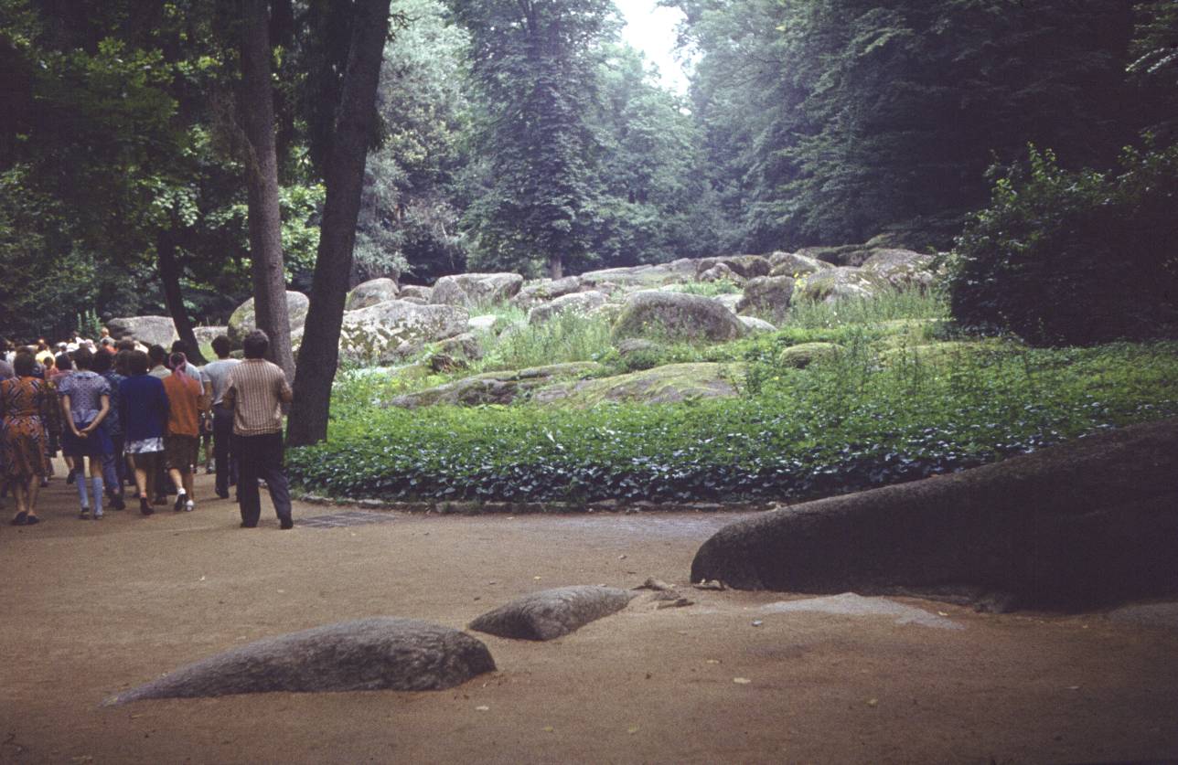 117.jpg