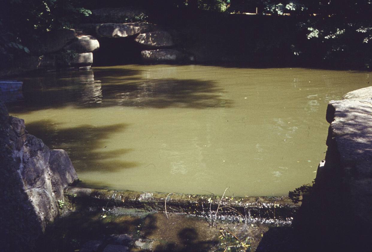 125.jpg