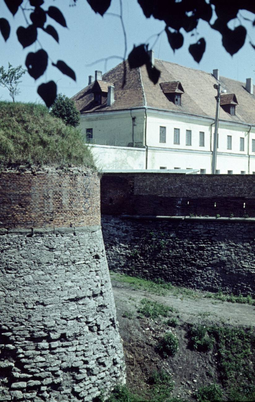 139.jpg