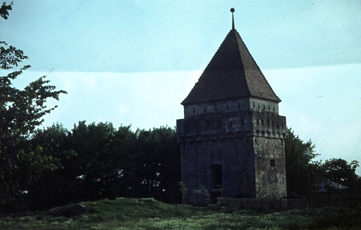 161.jpg