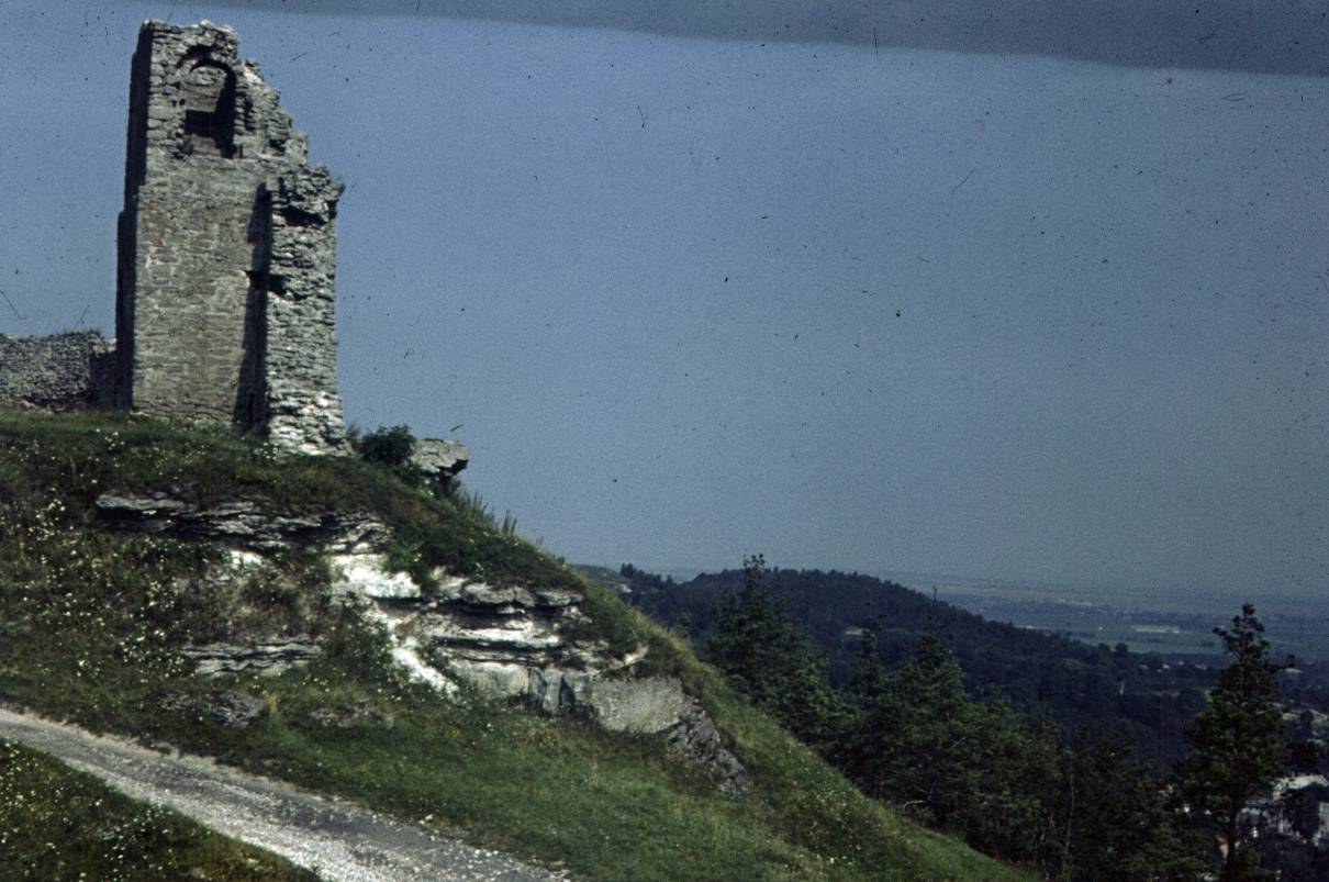 170.jpg