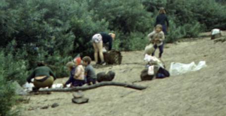 198-1.jpg