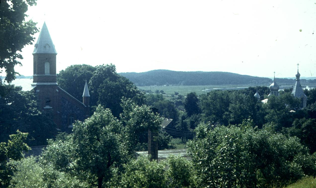 239.jpg