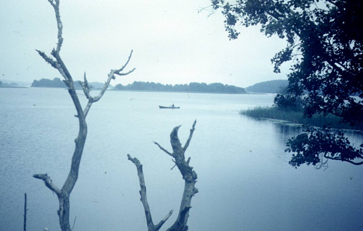 274.jpg