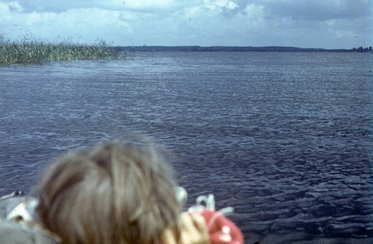 278.jpg
