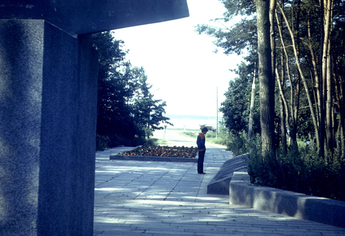 316.jpg