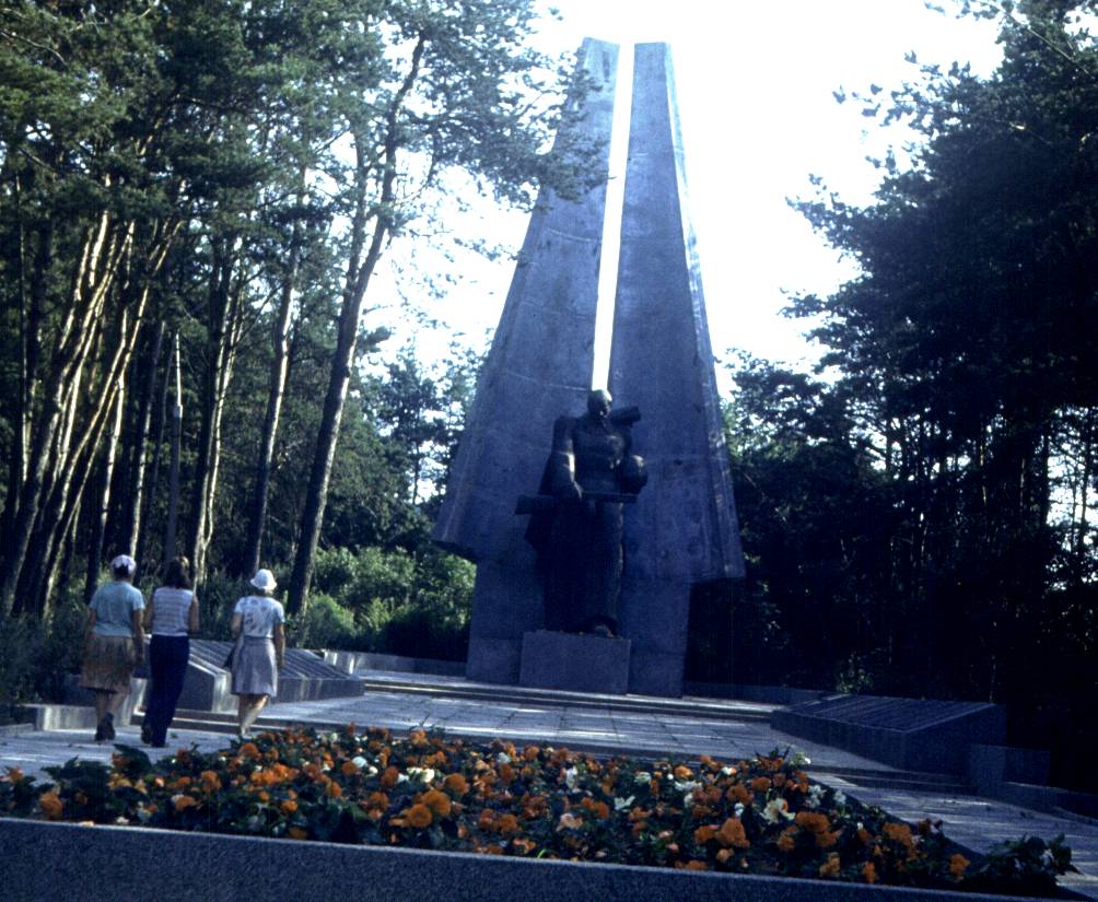 317.jpg