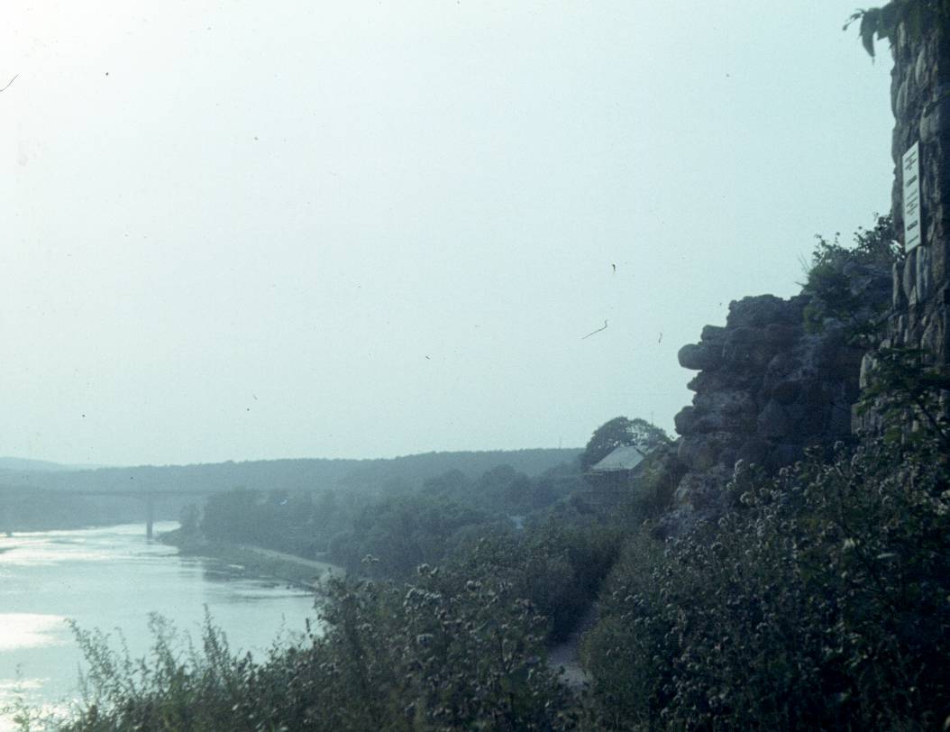 136.jpg