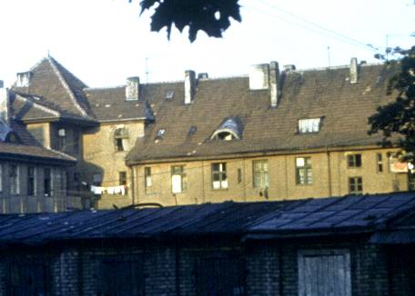 193-1.jpg