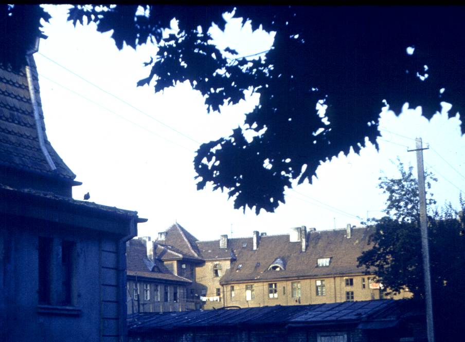 193.jpg