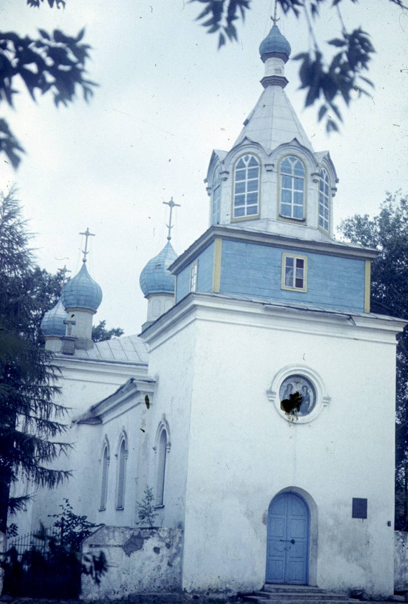 241.jpg
