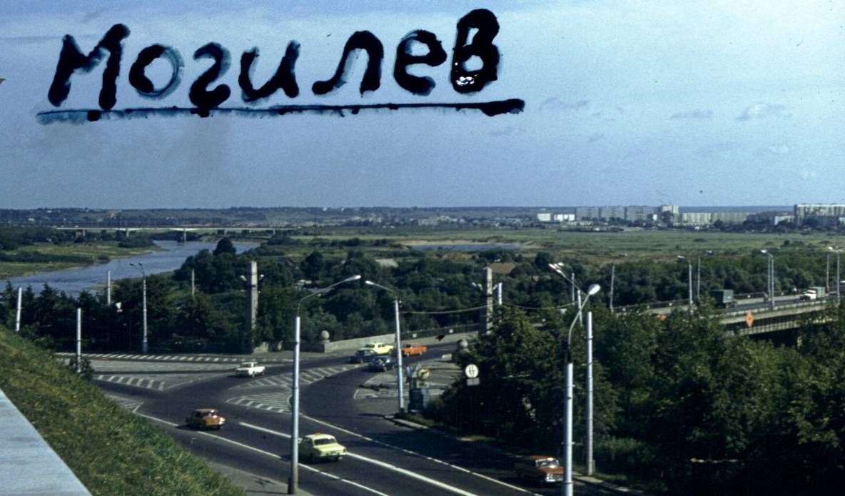 243.jpg
